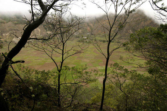 autor: Luis Filipe Catarino