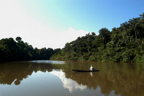 auteur : Angelo Lucas                    