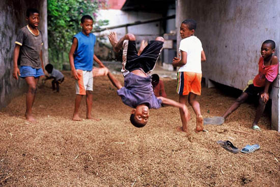 autor: Tânia Araújo