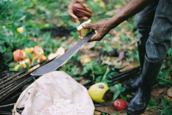 autor: Tânia Araújo