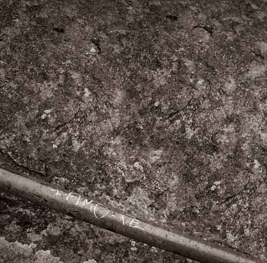 autor: Fernando Gabriel