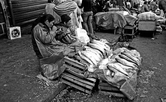 autor: Txomin  Txueka