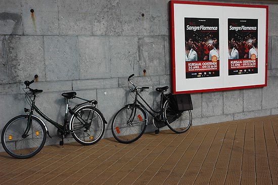 autor: Yves Rousselet
t&iacute;tulo: Moyen de locomotion très apprécié
