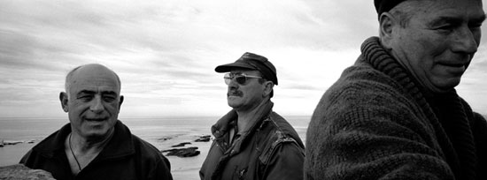 autor: Luísa Ferreira