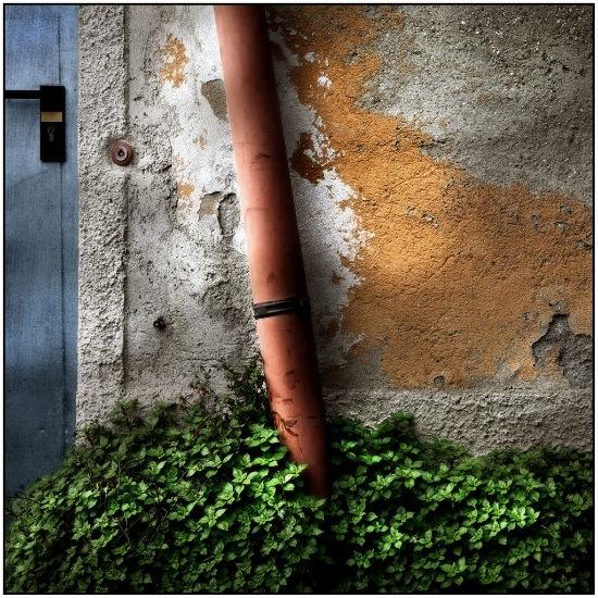 autor: Raoul Iacometti
t&iacute;tulo: Floreal Beauty