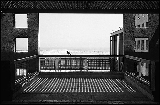 autor: Patrick Tombelle
t&iacute;tulo: Masada, Judean Desert