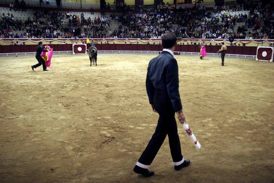 autor: Sofia Quintas