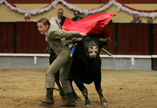 autor: Sofia Quintas