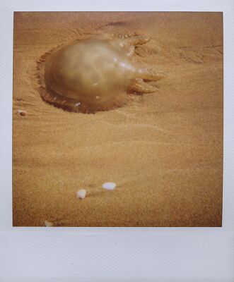 autor: Sofia Quintas
t&iacute;tulo: #2