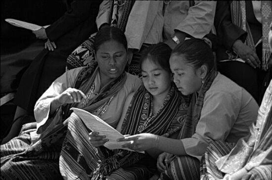 author : Sofia Quintas                    