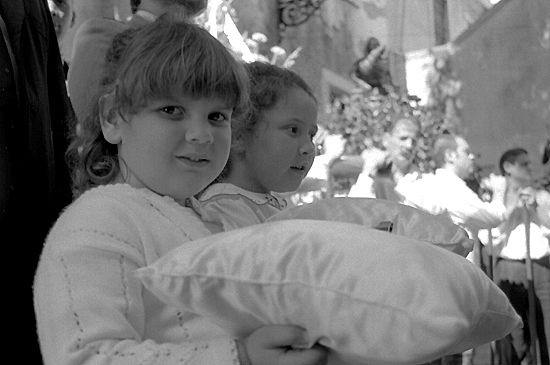 auteur: Sofia Quintas