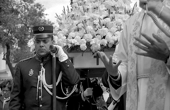 author : Sofia Quintas                    