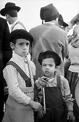 autor: Sofia Quintas