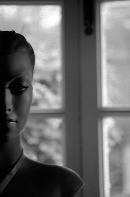 author : Sofia Quintas                    