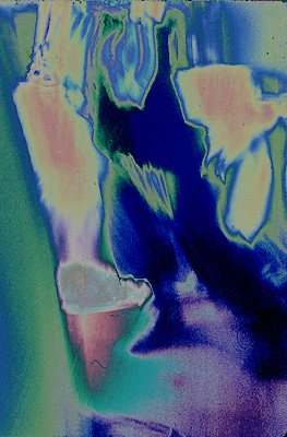 autor: Ana Ribeiro dos Santos