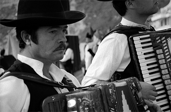 autor: paulo rodrigues