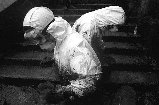 autor: João  Carvalho Pina