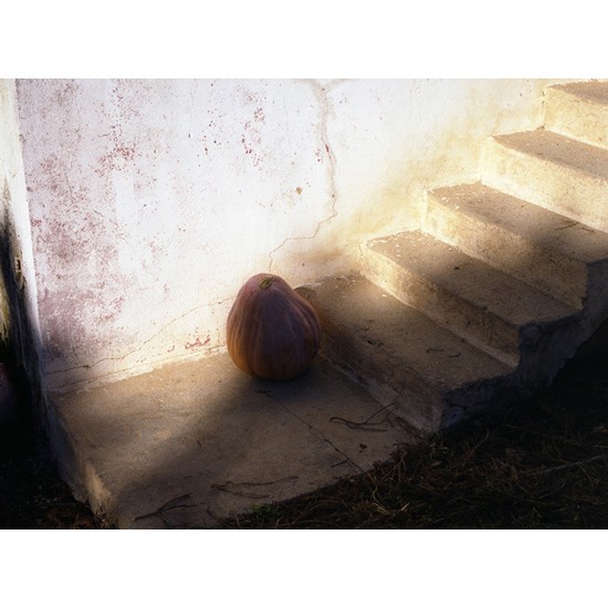 autor: Rui Dias Monteiro