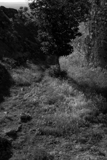 autor: paulo rodrigues