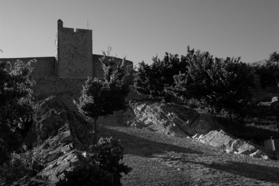 autor: paulo rodrigues