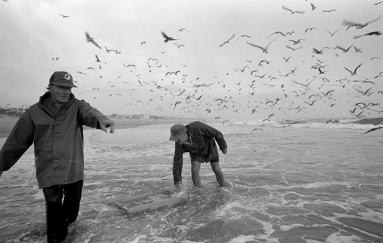 autor : João Varela                    