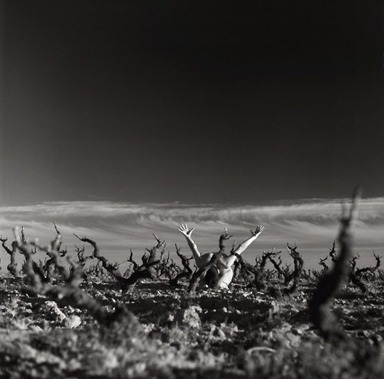 autor: Manuel Luís Cochofel
t&iacute;tulo: equinócio