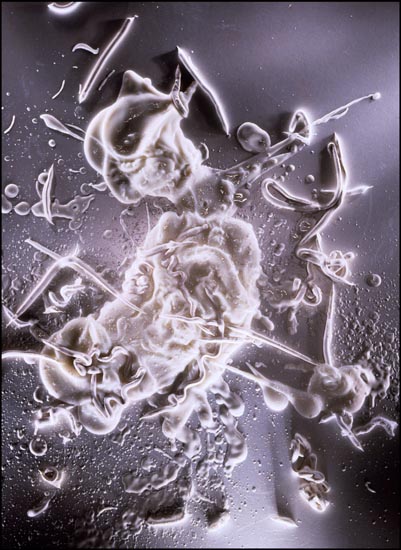 autor : Jeremy Webb                    t&iacute;tulo: white cream splatter