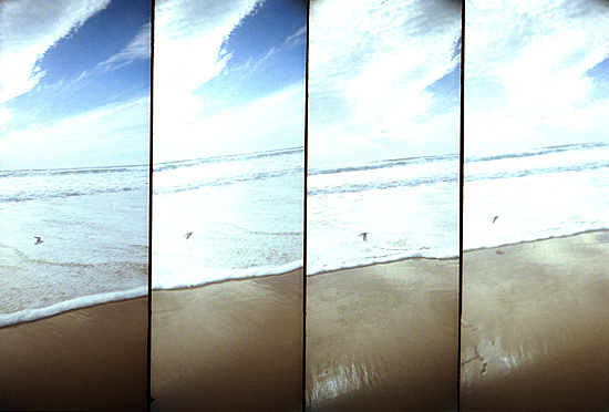 autor: Sofia Quintas