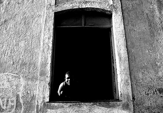 autor: José Silva Pinto
t&iacute;tulo: Da minha Janela...