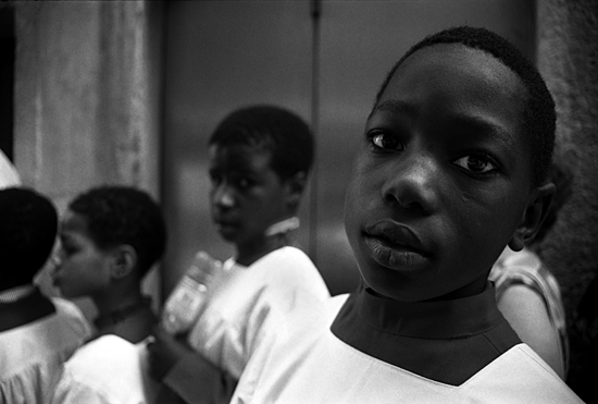 autor: Sofia Quintas