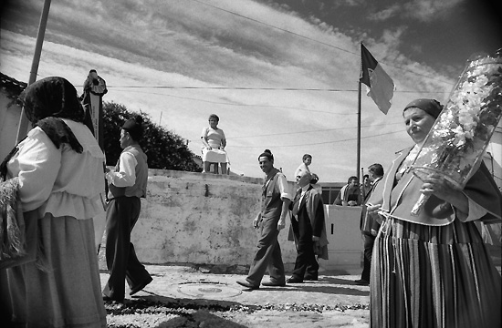 autor: Manuel Luís Cochofel