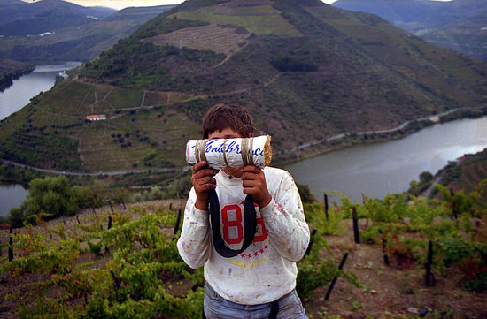 autor: José Gonçalves
t&iacute;tulo: Douro 11