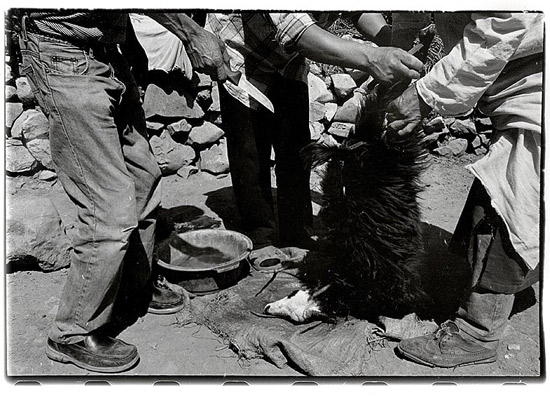 autor: Stefan Rohner
t&iacute;tulo: 16