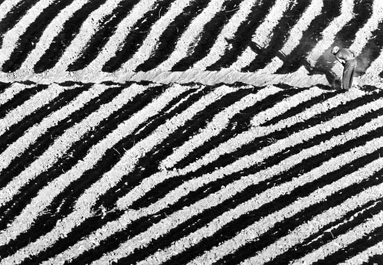 autor: Filipe Condado