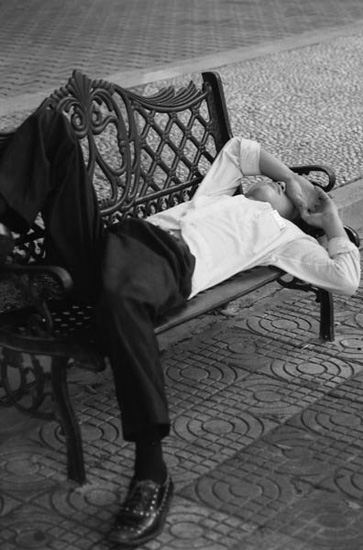 autor : Pedro Guimarães                    