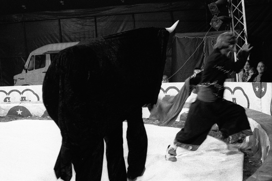 autor: paulo rodrigues