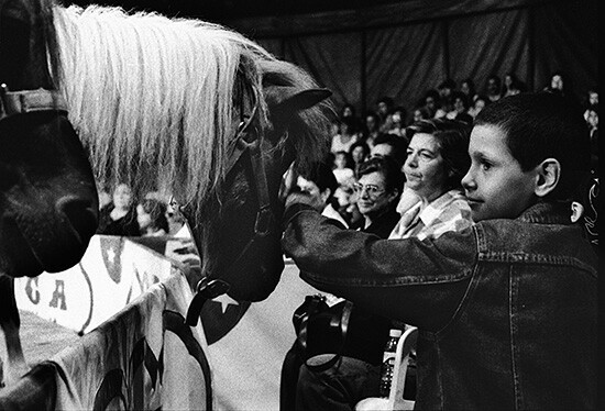 autor: paulo rodrigues