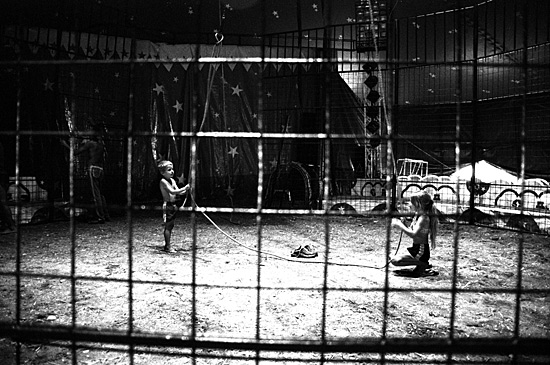 auteur: Sofia Quintas