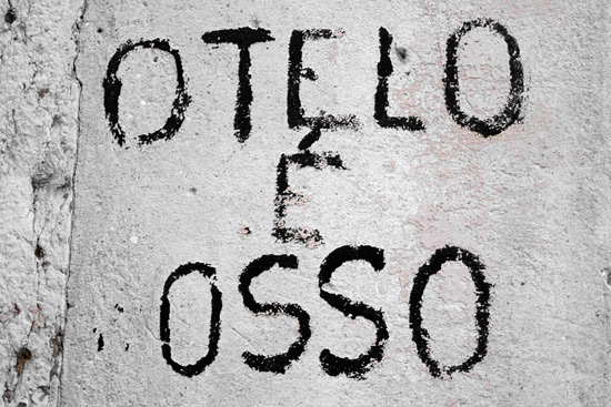 author : Sofia Quintas                    