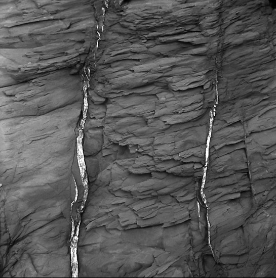 autor: Manuel Luís Cochofel