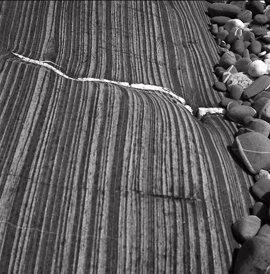 autor: Manuel Luís Cochofel