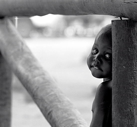 autor : José Silva Pinto                    t&iacute;tulo: Tímido