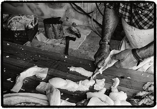 autor: Stefan Rohner
t&iacute;tulo: 12