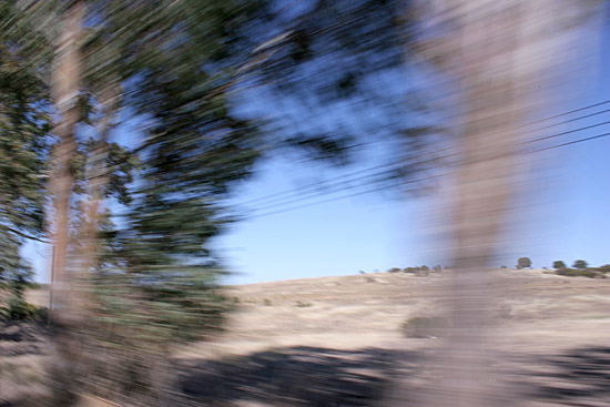 autor: Sofia Quintas