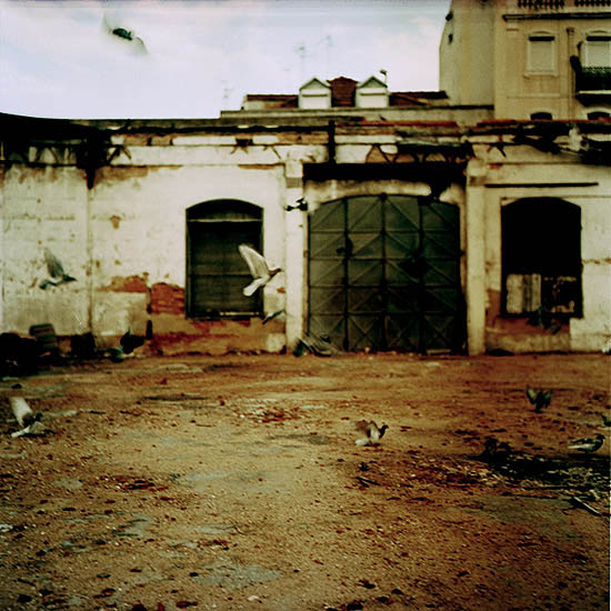 autor: Catarina Costa Cabral