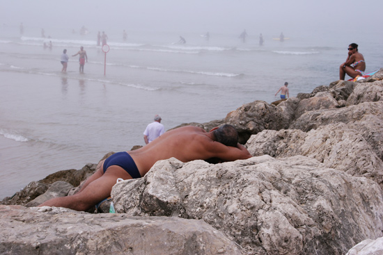 autor: Sofia Quintas