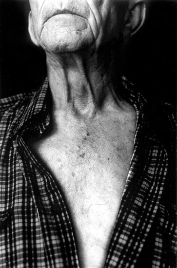 autor: João Pádua
t&iacute;tulo: 70 anos