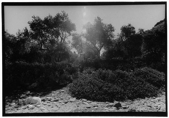 autor: Yves Rousselet
t&iacute;tulo: Lukova été 2005