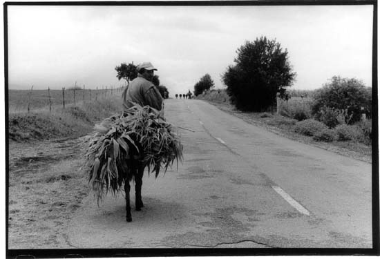 autor: Yves Rousselet
t&iacute;tulo: environs de Erseka été 2005