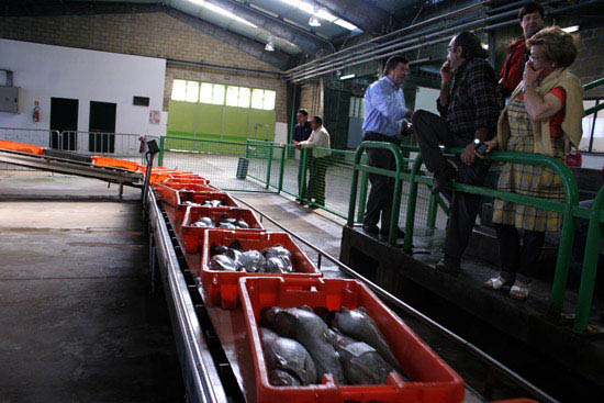 autor: Sofia Quintas